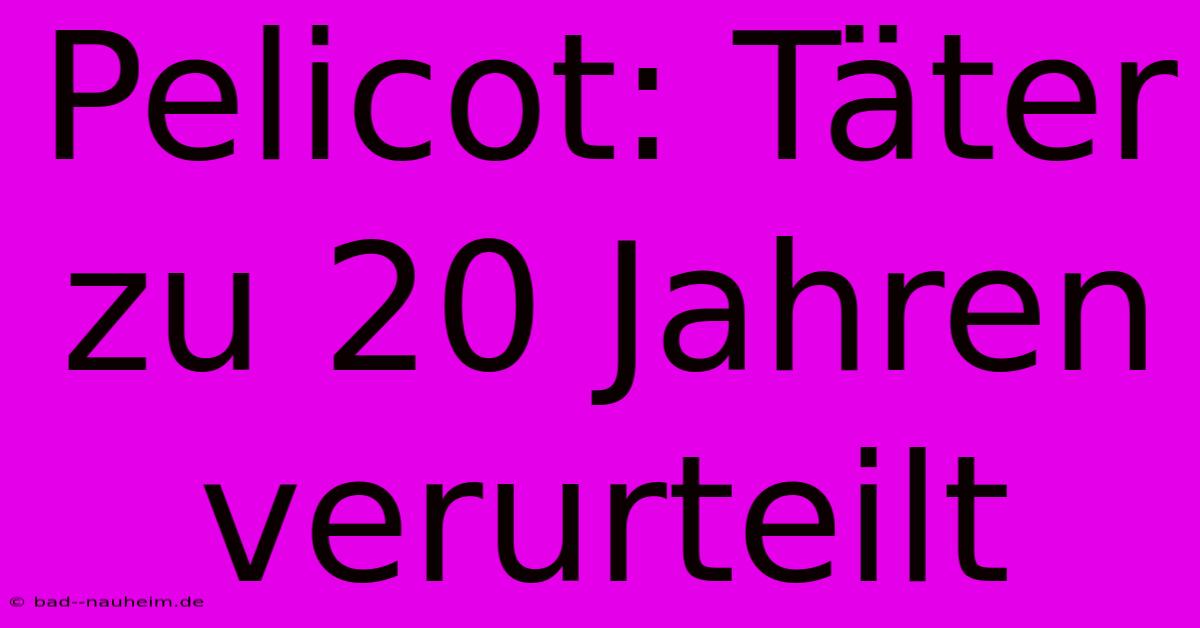 Pelicot: Täter Zu 20 Jahren Verurteilt