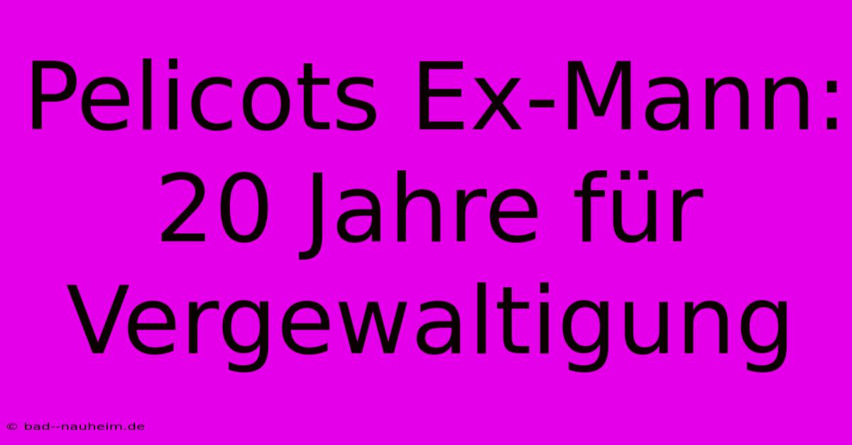 Pelicots Ex-Mann: 20 Jahre Für Vergewaltigung