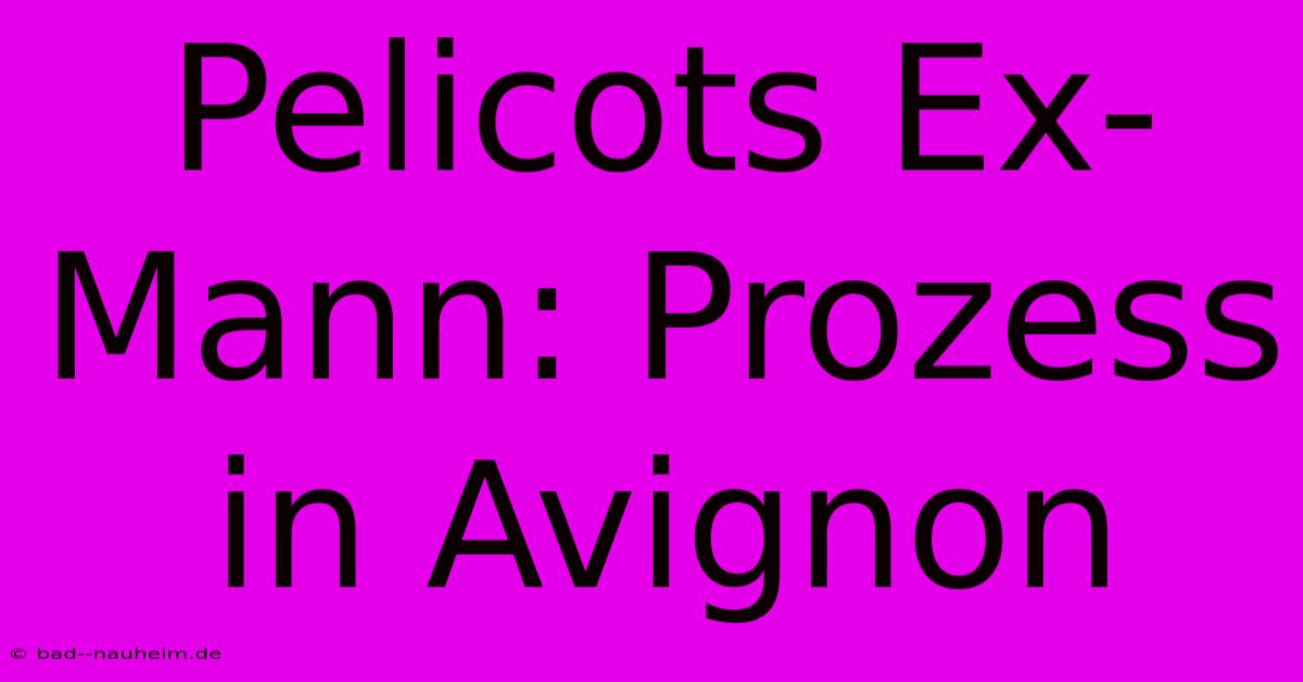 Pelicots Ex-Mann: Prozess In Avignon