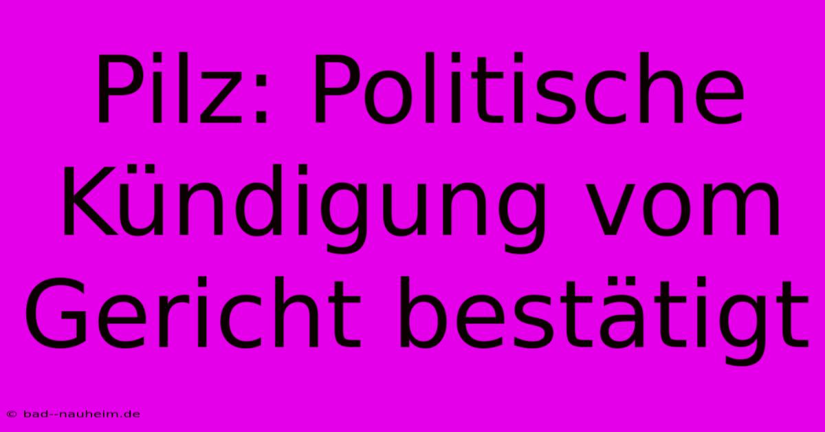 Pilz: Politische Kündigung Vom Gericht Bestätigt