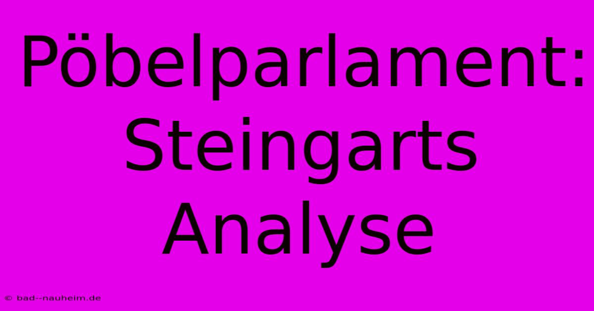 Pöbelparlament: Steingarts Analyse