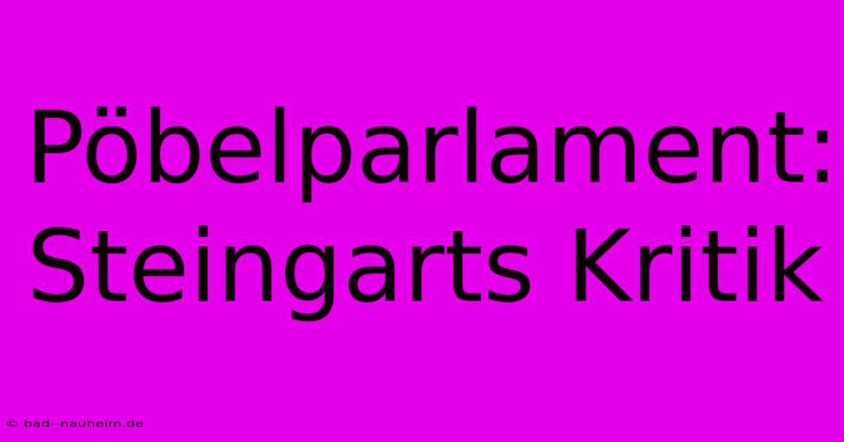 Pöbelparlament: Steingarts Kritik