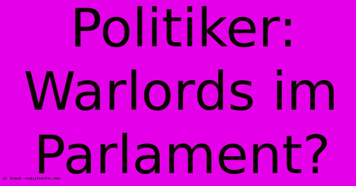 Politiker: Warlords Im Parlament?