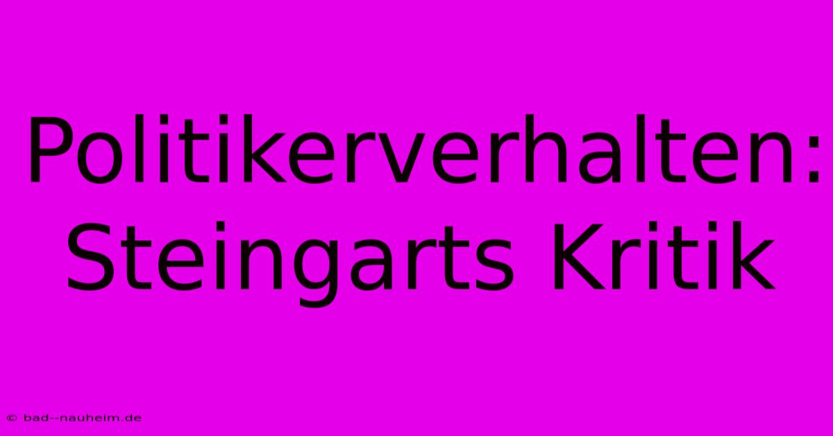 Politikerverhalten: Steingarts Kritik