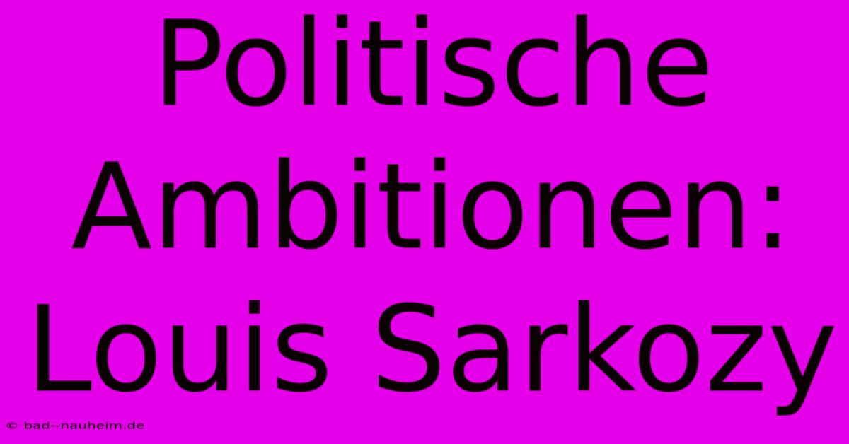 Politische Ambitionen: Louis Sarkozy