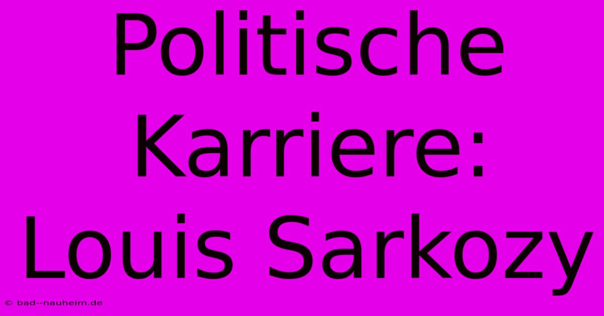 Politische Karriere: Louis Sarkozy