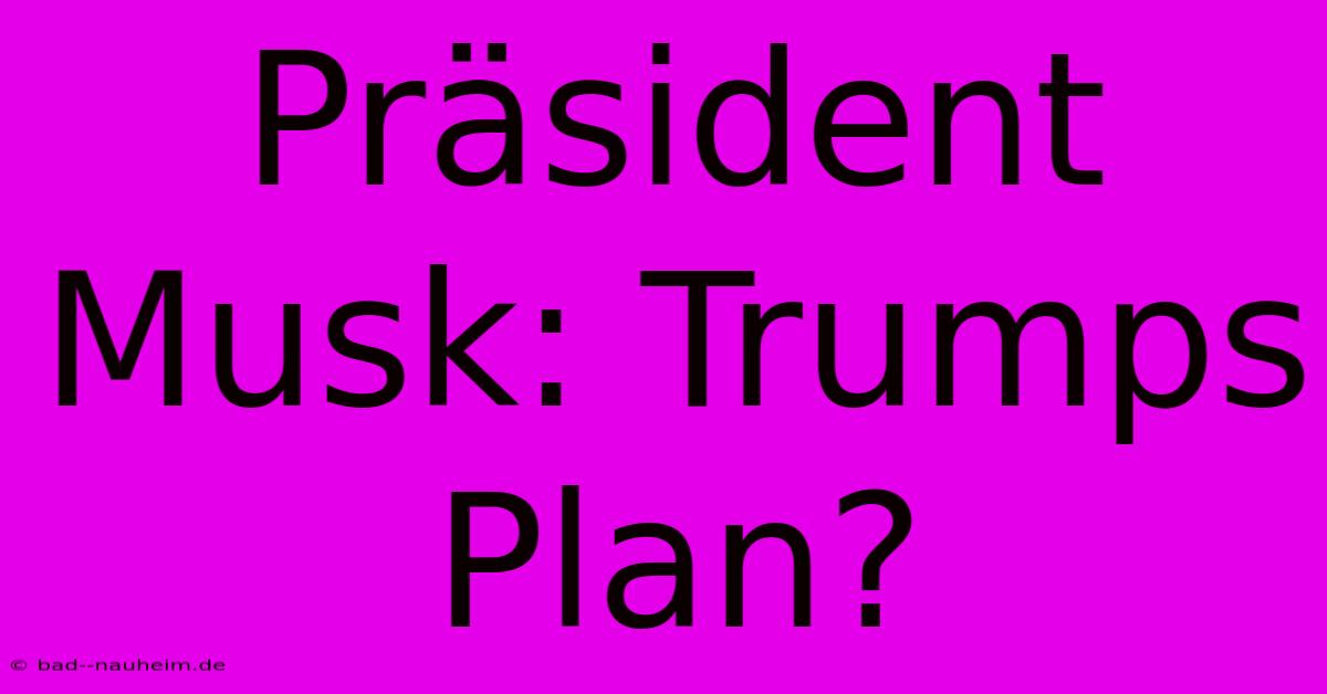 Präsident Musk: Trumps Plan?