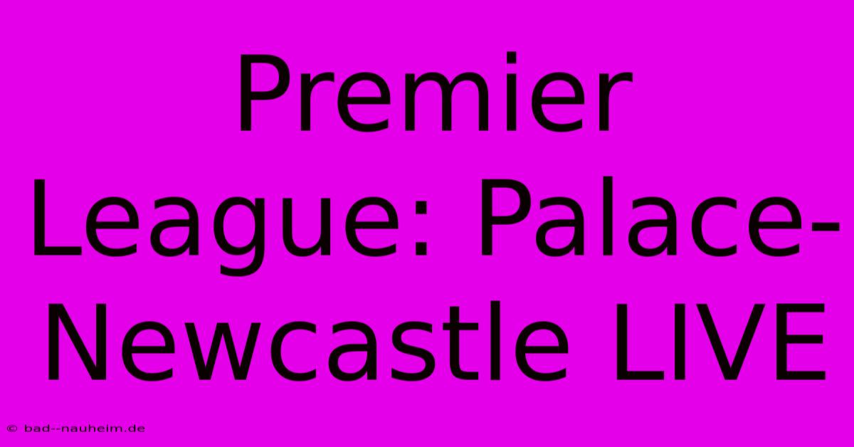 Premier League: Palace-Newcastle LIVE