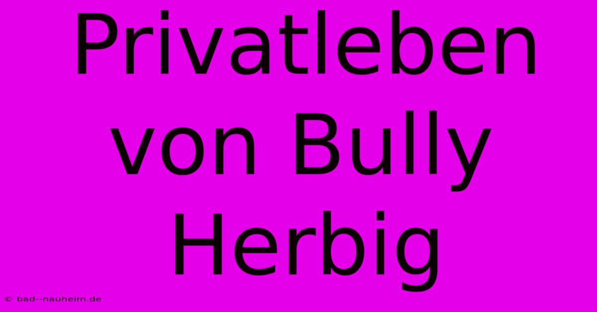 Privatleben Von Bully Herbig