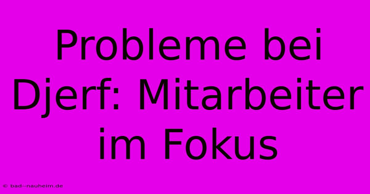 Probleme Bei Djerf: Mitarbeiter Im Fokus