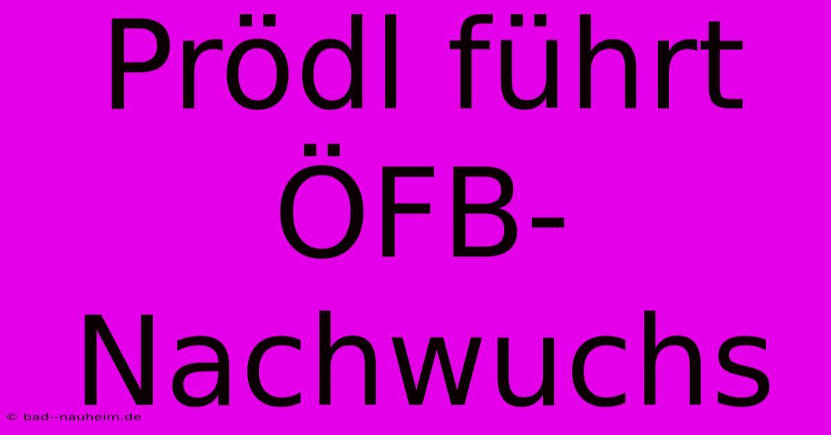 Prödl Führt ÖFB-Nachwuchs