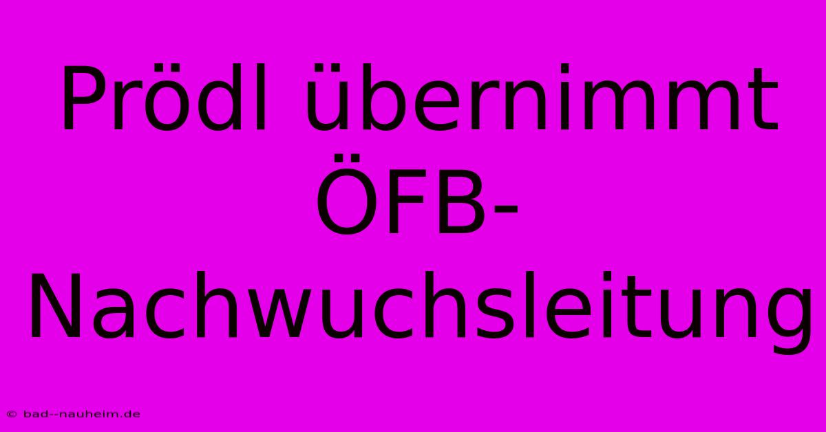 Prödl Übernimmt ÖFB-Nachwuchsleitung