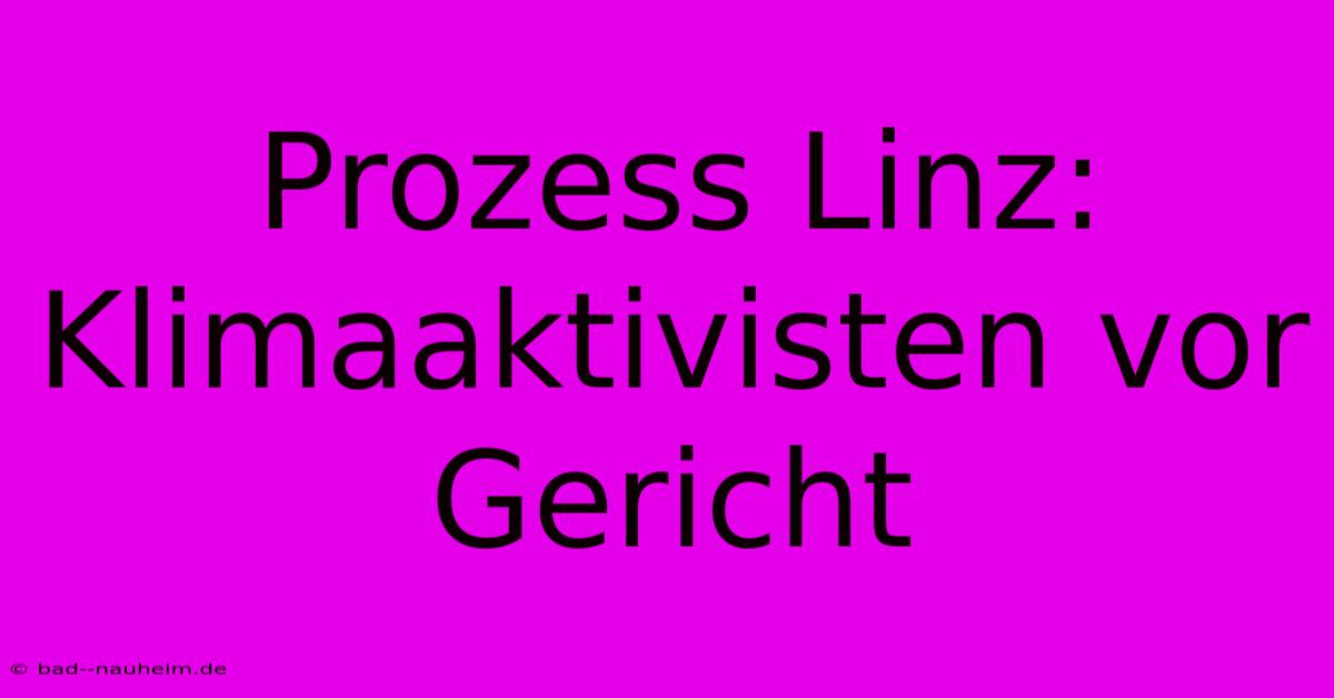 Prozess Linz: Klimaaktivisten Vor Gericht