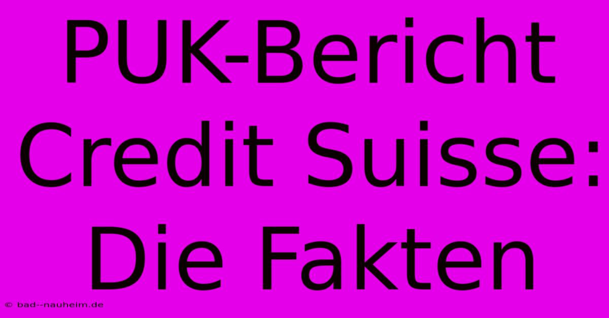 PUK-Bericht Credit Suisse:  Die Fakten