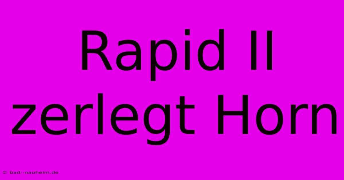 Rapid II Zerlegt Horn