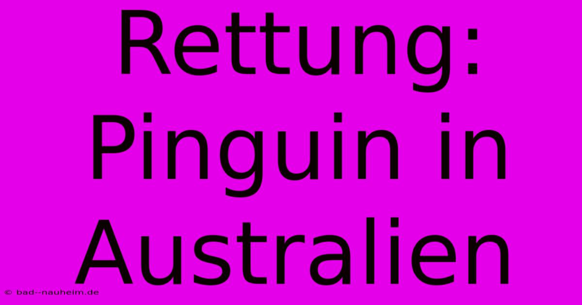 Rettung: Pinguin In Australien