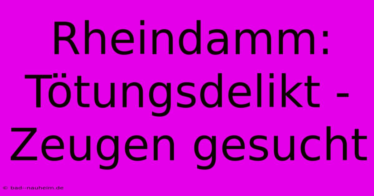 Rheindamm: Tötungsdelikt - Zeugen Gesucht