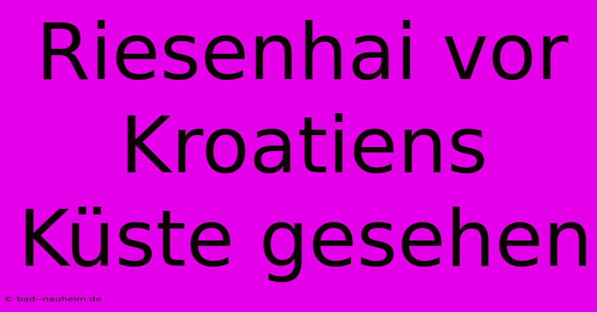 Riesenhai Vor Kroatiens Küste Gesehen