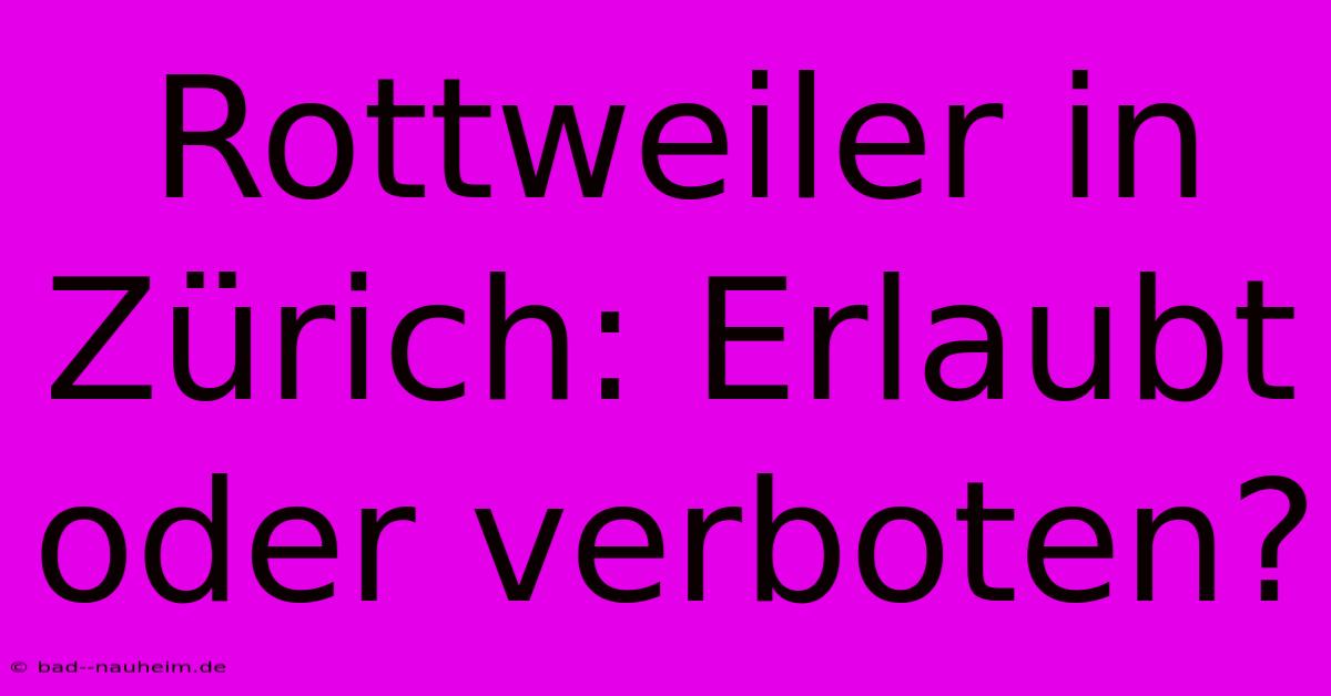 Rottweiler In Zürich: Erlaubt Oder Verboten?