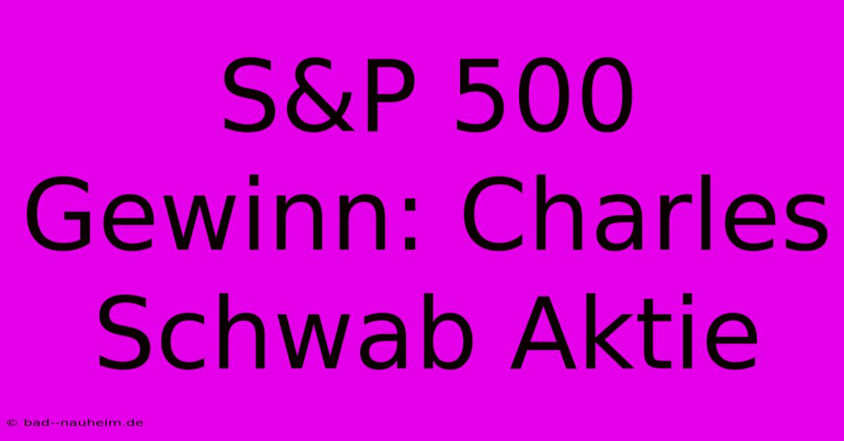 S&P 500 Gewinn: Charles Schwab Aktie