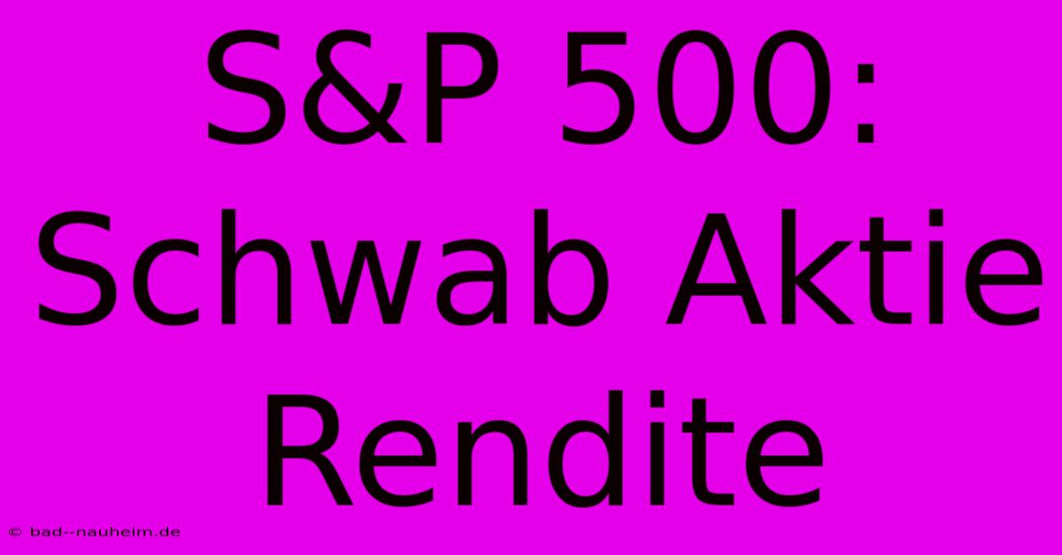 S&P 500: Schwab Aktie Rendite