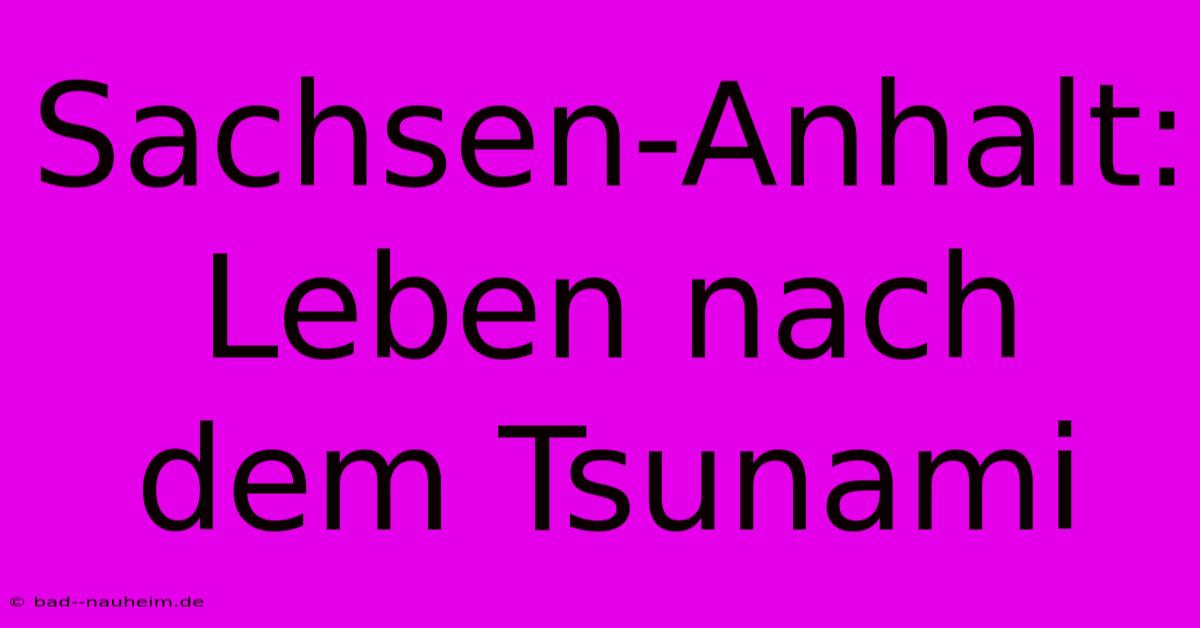 Sachsen-Anhalt: Leben Nach Dem Tsunami