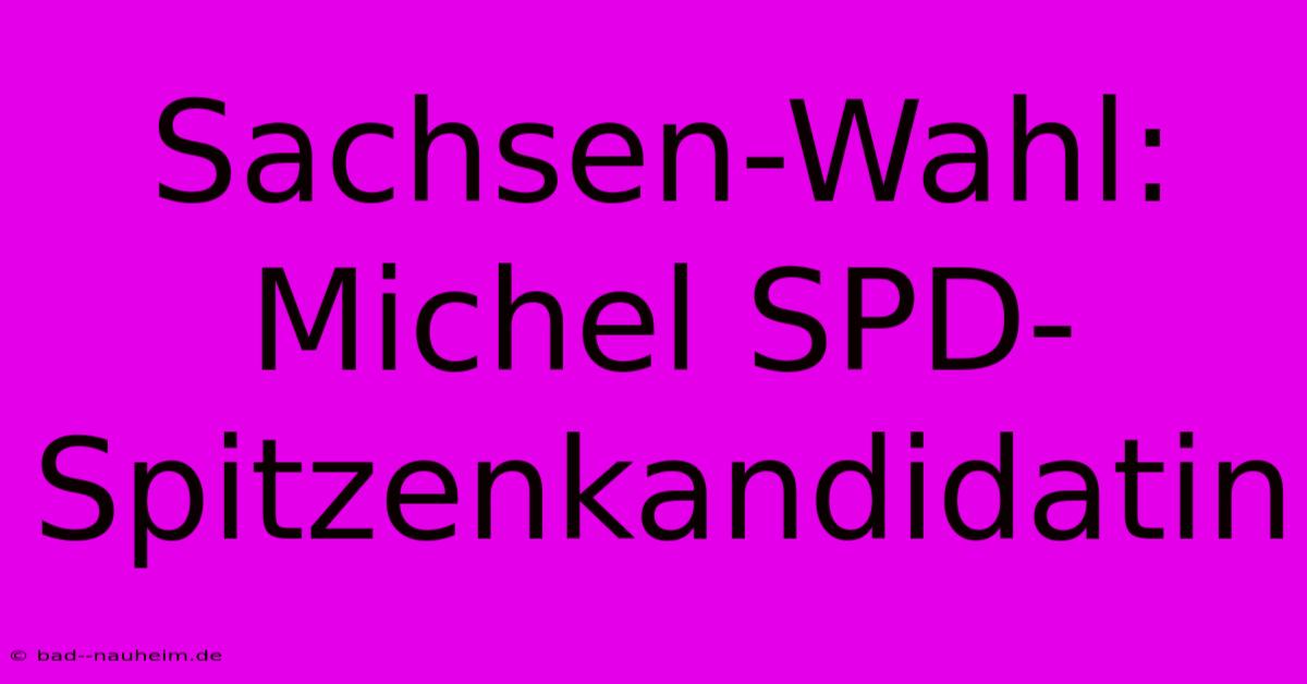 Sachsen-Wahl: Michel SPD-Spitzenkandidatin