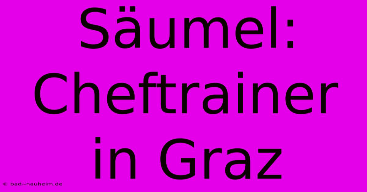 Säumel: Cheftrainer In Graz