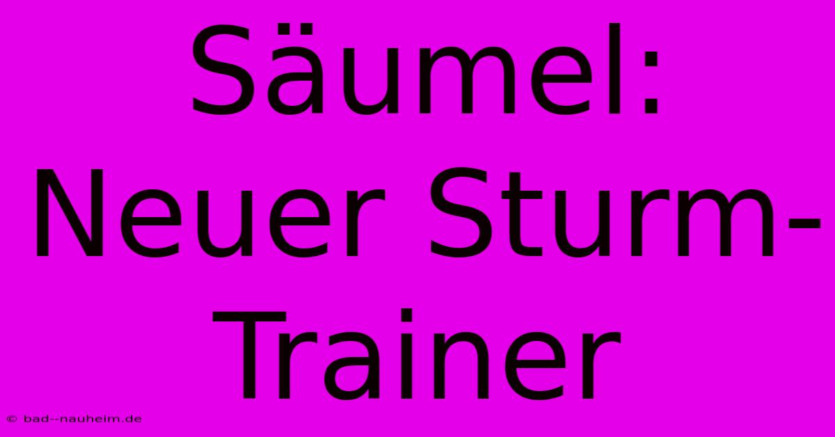 Säumel: Neuer Sturm-Trainer