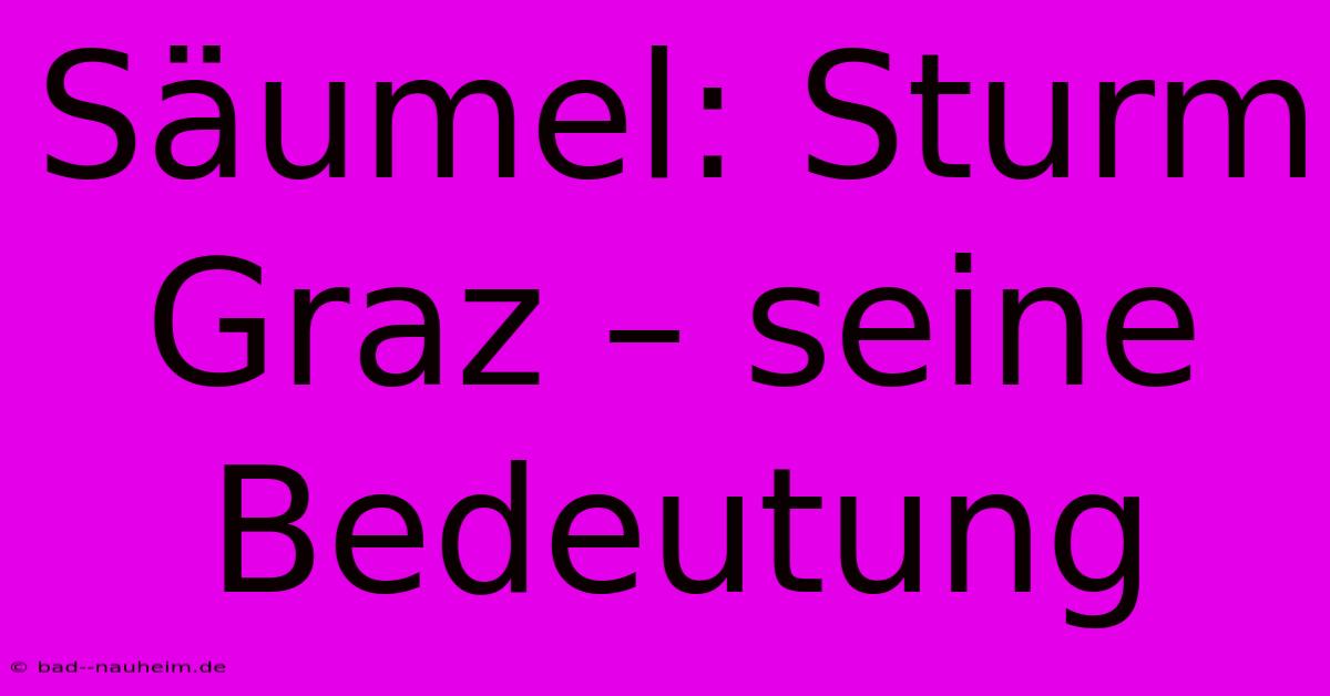 Säumel: Sturm Graz – Seine Bedeutung