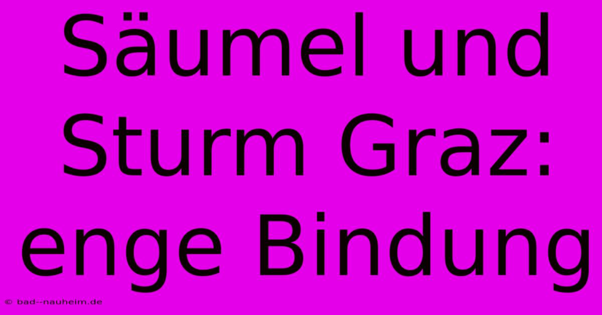 Säumel Und Sturm Graz: Enge Bindung