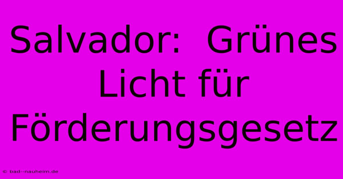 Salvador:  Grünes Licht Für Förderungsgesetz