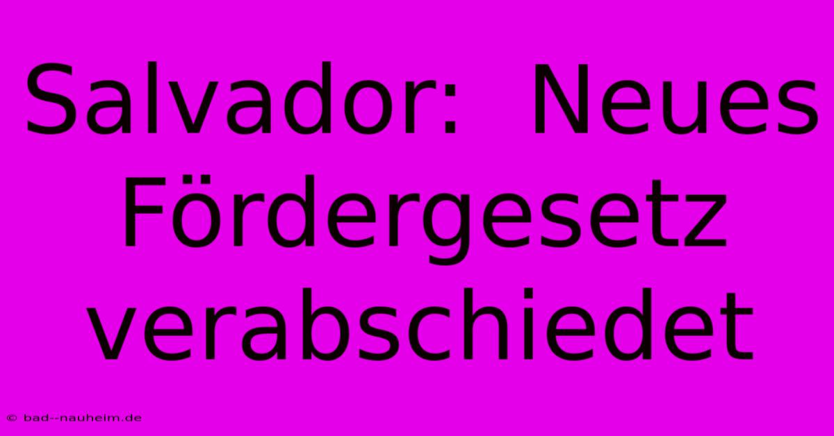 Salvador:  Neues Fördergesetz Verabschiedet