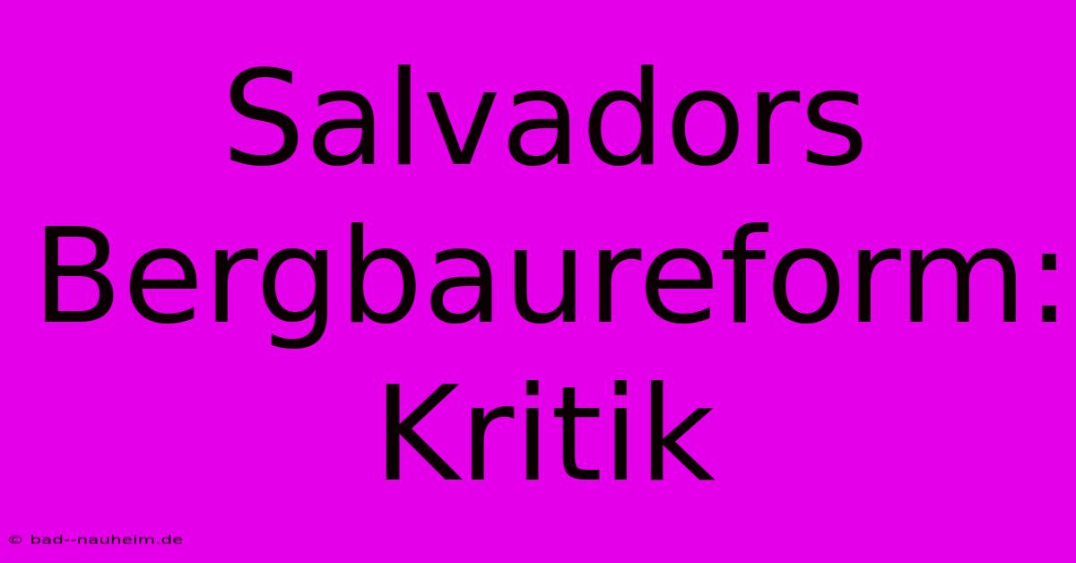 Salvadors Bergbaureform: Kritik