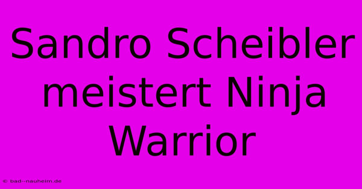 Sandro Scheibler Meistert Ninja Warrior