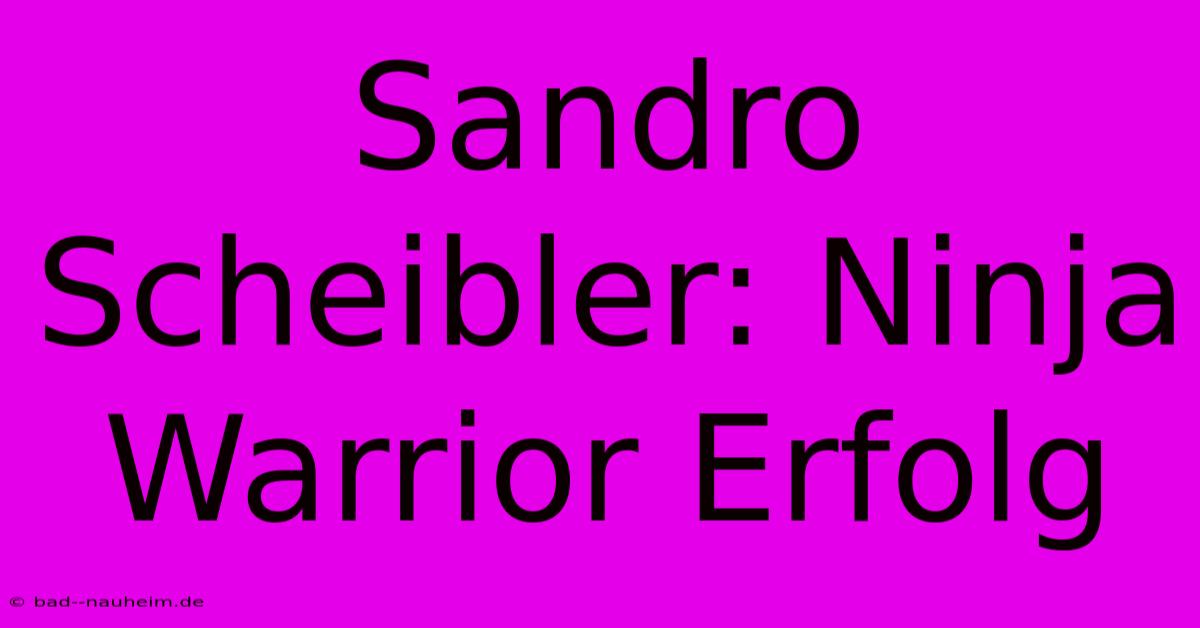 Sandro Scheibler: Ninja Warrior Erfolg