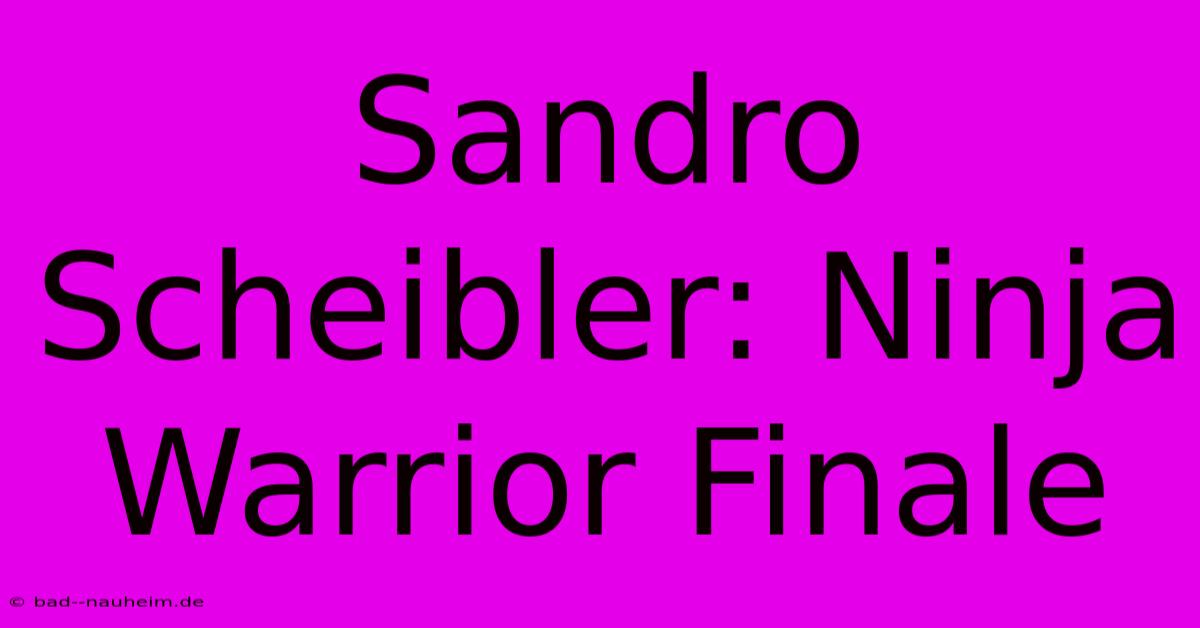 Sandro Scheibler: Ninja Warrior Finale