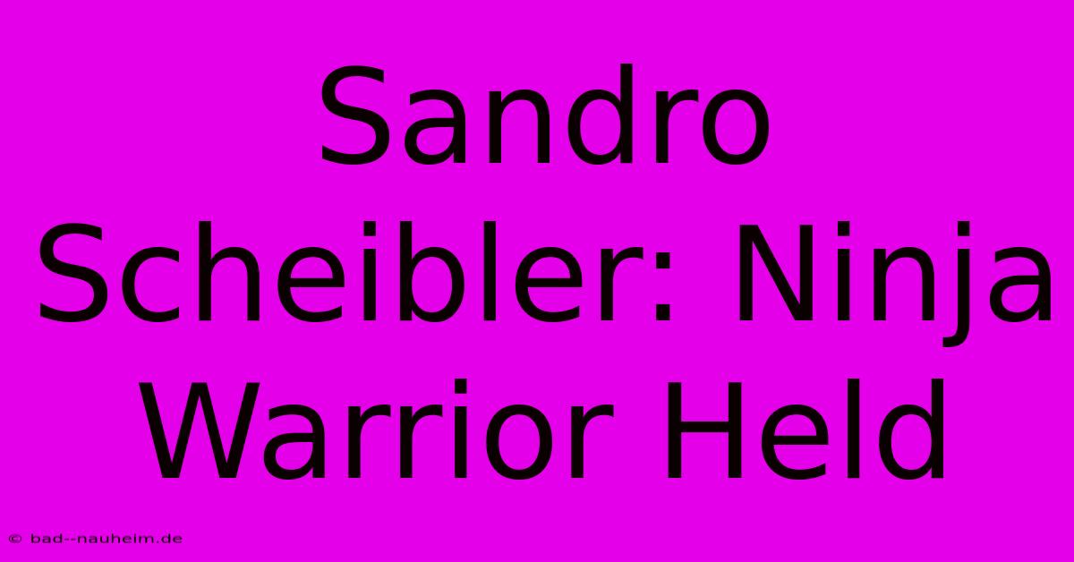 Sandro Scheibler: Ninja Warrior Held