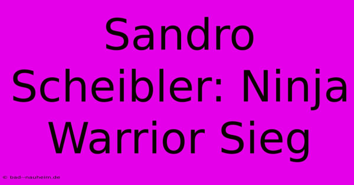 Sandro Scheibler: Ninja Warrior Sieg