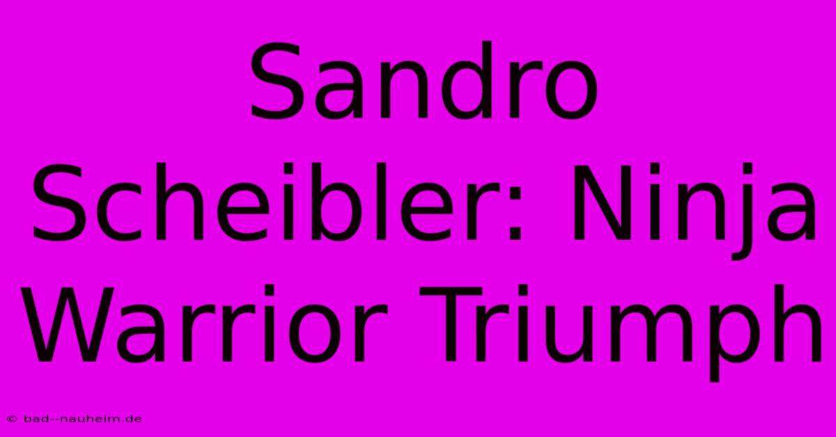 Sandro Scheibler: Ninja Warrior Triumph