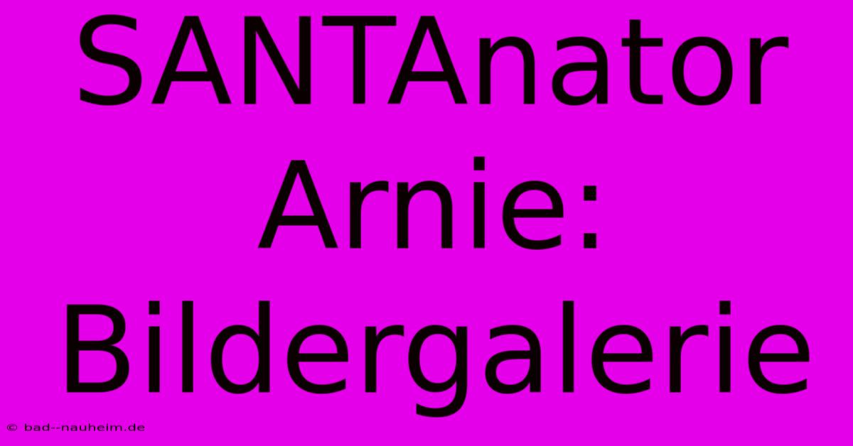 SANTAnator Arnie: Bildergalerie