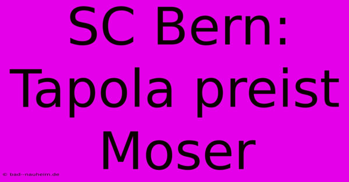 SC Bern: Tapola Preist Moser