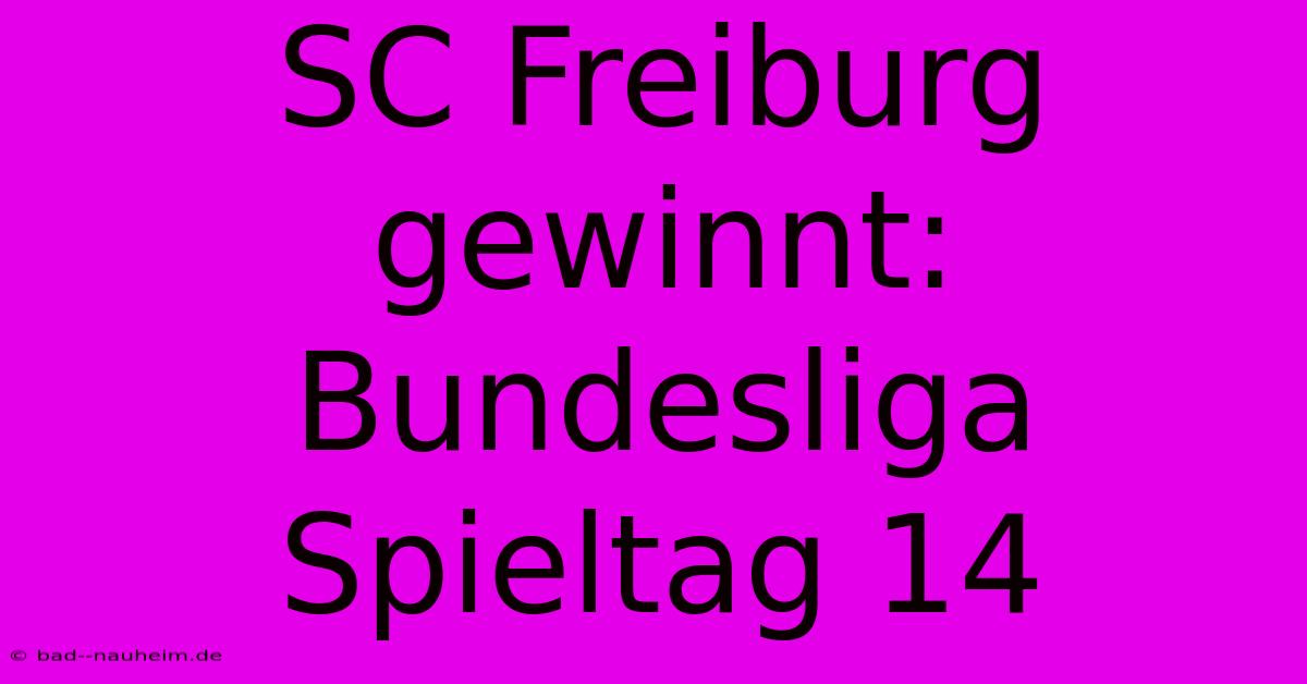 SC Freiburg Gewinnt: Bundesliga Spieltag 14