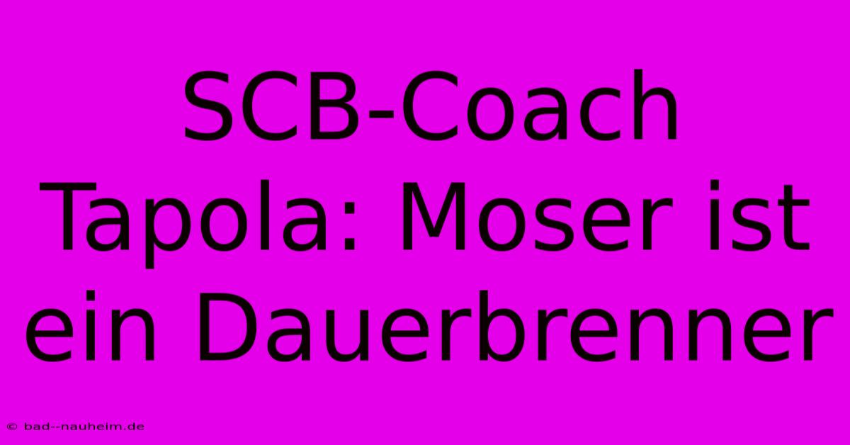 SCB-Coach Tapola: Moser Ist Ein Dauerbrenner