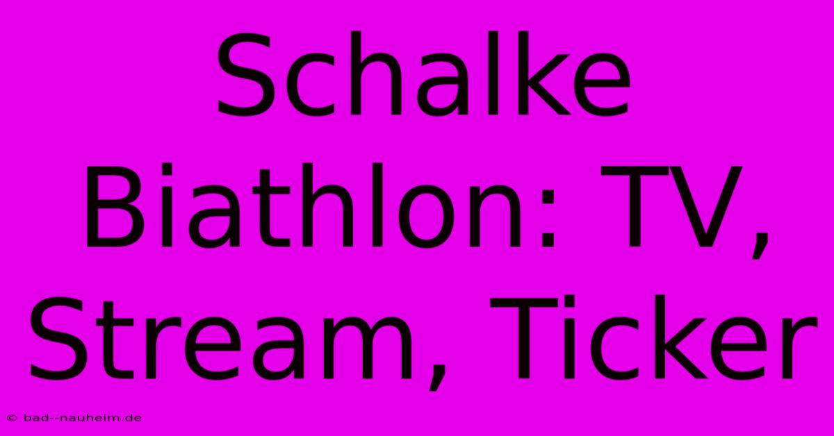 Schalke Biathlon: TV, Stream, Ticker