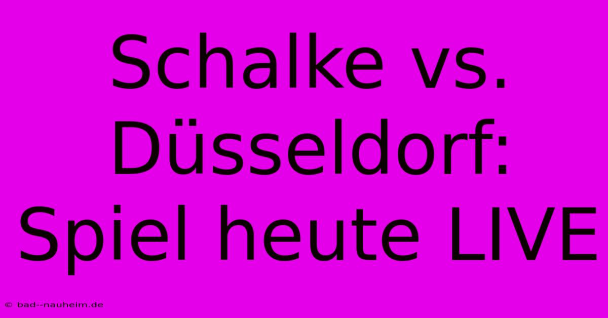 Schalke Vs. Düsseldorf: Spiel Heute LIVE