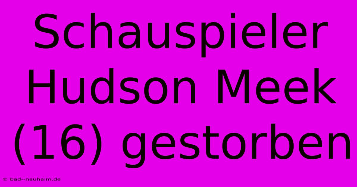 Schauspieler Hudson Meek (16) Gestorben