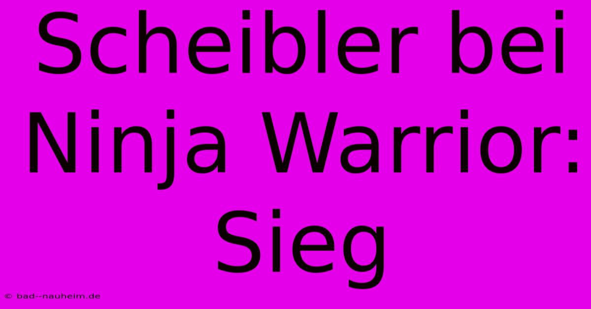 Scheibler Bei Ninja Warrior: Sieg