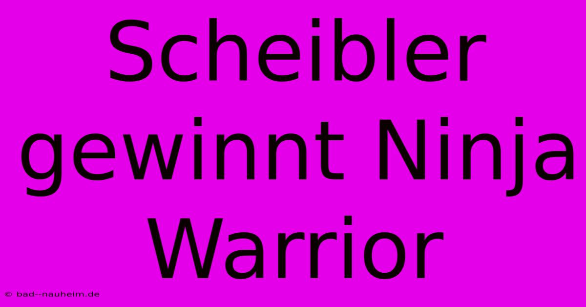 Scheibler Gewinnt Ninja Warrior