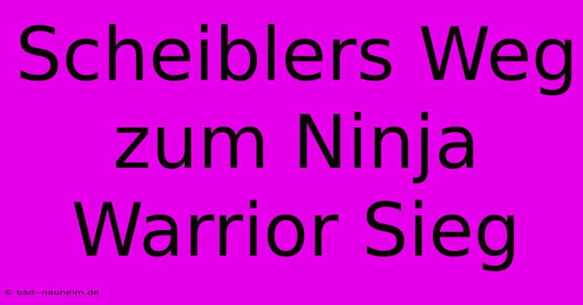 Scheiblers Weg Zum Ninja Warrior Sieg